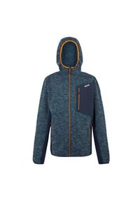 Regatta - Męska Bluza Polarowa Alven Z Pełnym Zamkiem Błyskawicznym. Kolor: niebieski. Materiał: polar. Sezon: zima. Styl: sportowy. Sport: turystyka piesza #1
