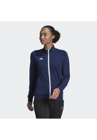 Adidas - Bluza piłkarska damska adidas Entrada 22 Track Jacket. Kolor: niebieski, biały, wielokolorowy. Materiał: dresówka. Sport: piłka nożna #1