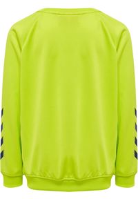 Bluza do piłki ręcznej dla dzieci Hummel Promo. Kolor: zielony, wielokolorowy, żółty. Sport: piłka ręczna