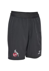 Hummel - Krótka dziecięca spódnica FC Köln Pro 2024/25. Kolor: szary. Długość: krótkie. Styl: sportowy, młodzieżowy