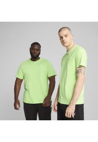 Puma - Męska koszulka Essentials z małym logo No. 1 PUMA Spring Fern Green. Kolor: zielony. Wzór: haft. Sport: fitness