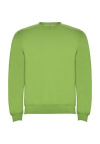 ROLY - Bluza Unisex Dla Dorosłych Clasica Z Okrągłym Dekoltem. Kolor: zielony