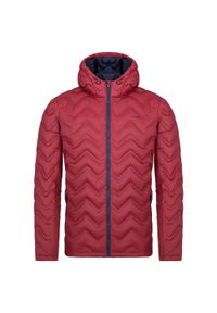 ZEAGLE - Męska kurtka zimowa LOAP, lekka, odporna na wodę, rozmiar S. Kolor: fioletowy. Sezon: zima. Sport: narciarstwo #1