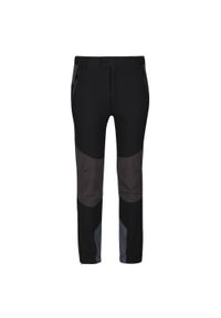 Regatta - Dziecięce Spodnie Trekkingowe Tech Mountain. Kolor: szary, fioletowy, wielokolorowy, czarny. Sezon: lato. Sport: turystyka piesza #1