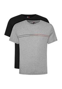 Tommy Jeans Komplet 2 t-shirtów Entry Graphic DM0DM21902 Kolorowy Slim Fit. Materiał: bawełna. Wzór: kolorowy #7