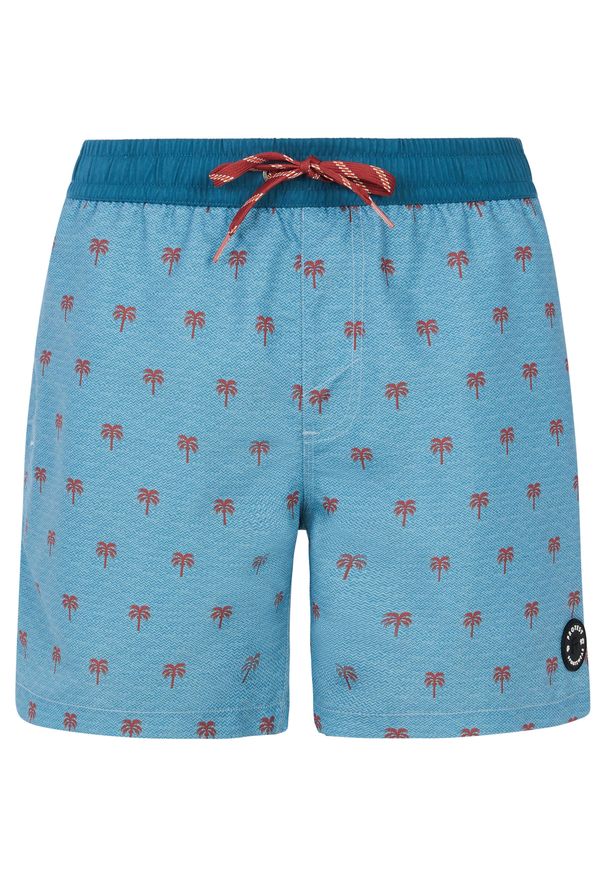 Protest - Szorty plażowe męskie PROTEST PRTParco. Kolor: niebieski