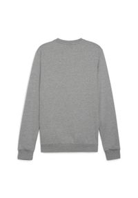 Bluza sportowa męska Puma B23617. Kolor: szary. Sport: piłka nożna