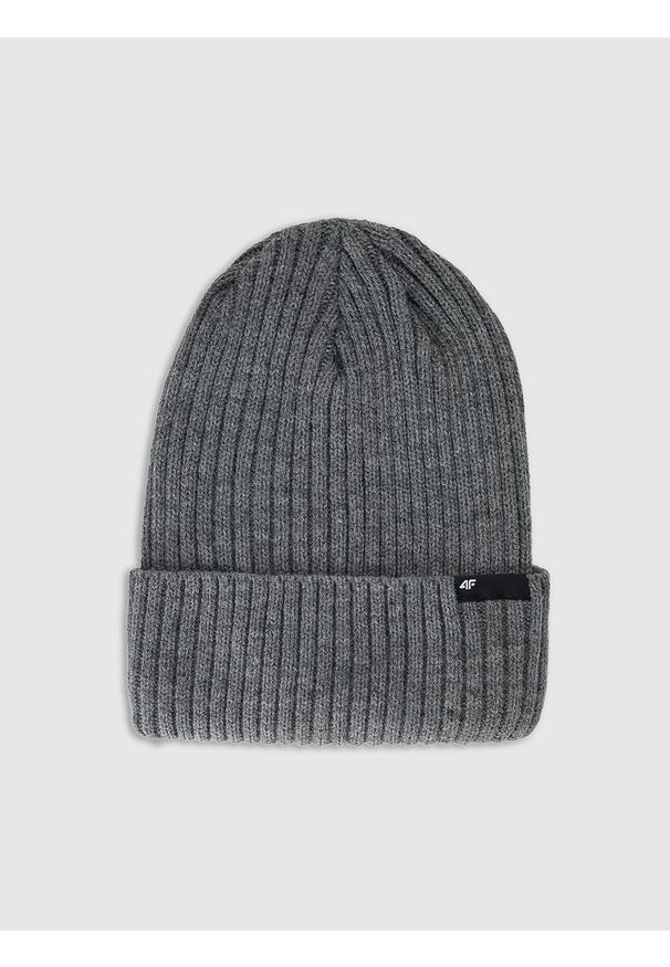 4f - 4F Czapka zimowa Thinsulate męska - szara M. Kolor: szary. Materiał: syntetyk, materiał. Sezon: zima. Styl: elegancki, klasyczny, sportowy