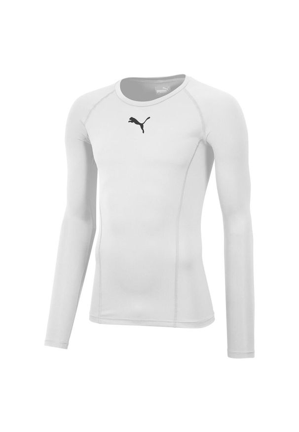 Koszulka do piłki nożnej męska Puma Liga Baselayer Tee LS. Kolor: niebieski