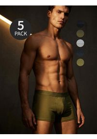 Sinsay - Bawełniane bokserki Classic 5 pack - wielobarwny. Materiał: bawełna #1
