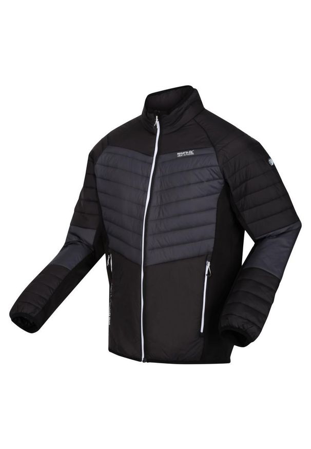 Regatta - Halton VI męski turystyczny softshell. Kolor: szary. Materiał: softshell. Sport: turystyka piesza