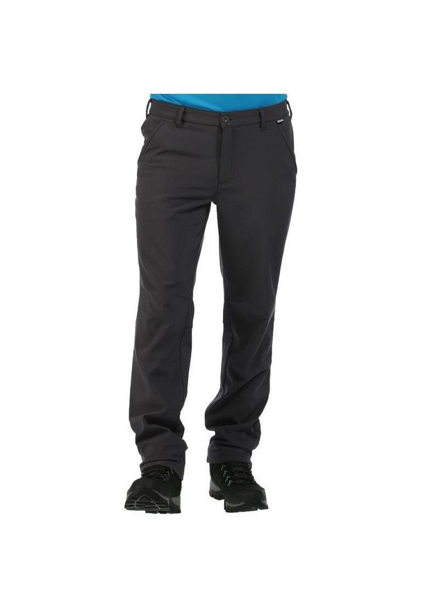 Regatta - Spodnie męskie Fenton. Kolor: szary. Sezon: lato. Sport: turystyka piesza