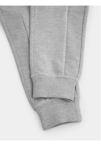 COCCODRILLO - Coccodrillo Spodnie dresowe WC4120101RAJ Szary Regular Fit. Kolor: szary. Materiał: bawełna #3