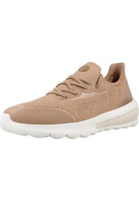 Geox - Buty GEOX D SPHERICA ACTIF Brąz. Kolor: zielony, brązowy, wielokolorowy. Materiał: tkanina. Sport: turystyka piesza