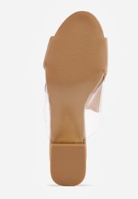 Born2be - Ciemnobeżowe Klapki na Niskim Słupku ze Skórzaną Wkładką i Transparentnymi Wstawkami Neya. Okazja: na co dzień. Kolor: beżowy. Materiał: skóra. Obcas: na słupku. Styl: casual, elegancki #9