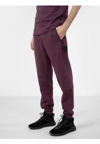 4f - Spodnie dresowe joggery męskie. Kolor: czerwony. Materiał: dresówka. Wzór: gładki #2
