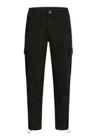 Redefined Rebel Spodnie materiałowe Jolan 226027 Czarny Regular Fit. Kolor: czarny. Materiał: materiał, bawełna #1