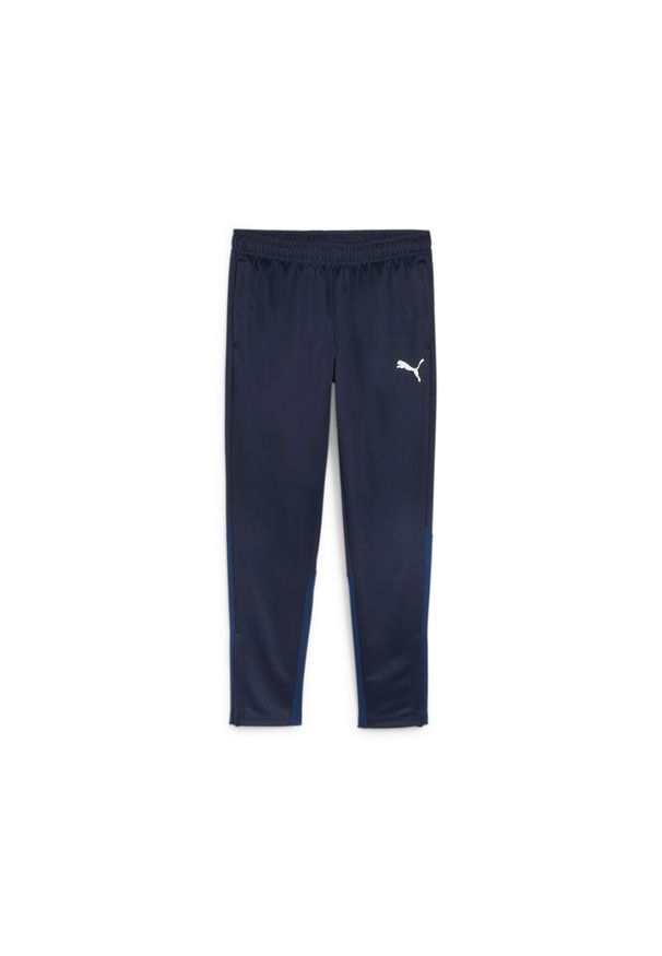 Spodnie treningowe Puma Teamgoal. Kolor: niebieski. Sport: piłka nożna