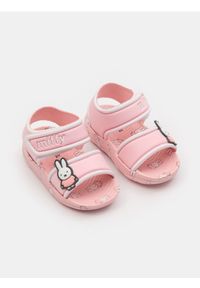 Sinsay - Sandały Miffy - różowy. Kolor: różowy