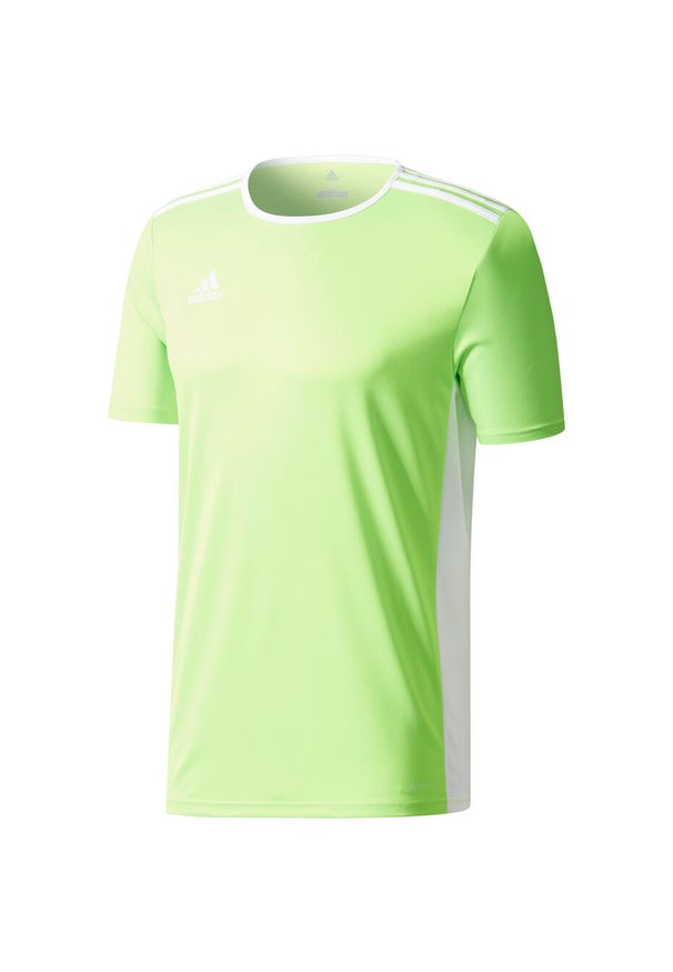 Adidas - Koszulka piłkarska dla dzieci adidas Entrada 18 Jersey JUNIOR. Kolor: biały, zielony, wielokolorowy. Materiał: jersey. Sport: piłka nożna