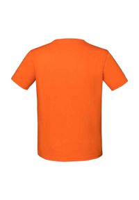 FRUIT OF THE LOOM - Kultowa Koszulka Dziecięca / Dziecięca. Kolor: pomarańczowy, wielokolorowy, żółty. Sport: turystyka piesza