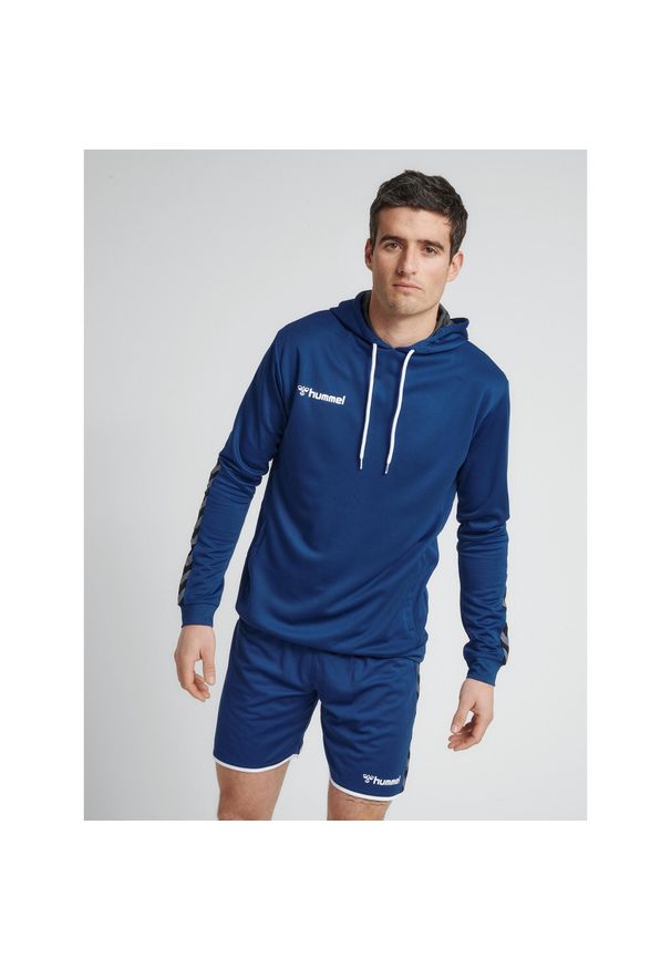 Bluza do piłki ręcznej męska Hummel hml AUTHENTIC Poly. Kolor: niebieski. Sport: fitness