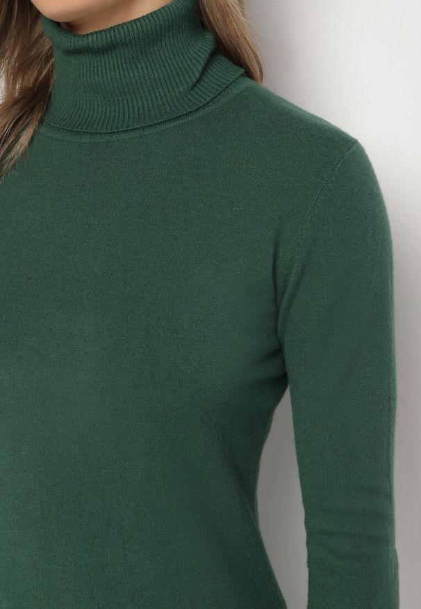 Born2be - Zielony Golf Sweter z Wiskozą i Kaszmirem Zailaya. Okazja: na co dzień. Typ kołnierza: golf. Kolor: zielony. Materiał: wiskoza, kaszmir. Styl: casual