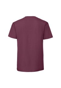 FRUIT OF THE LOOM - Męska Koszulka Iconic Premium Ringspun Cotton T-shirt. Kolor: czerwony, brązowy, wielokolorowy
