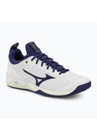 Buty do siatkówki męskie Mizuno Wave Luminous 2. Kolor: niebieski, wielokolorowy, biały. Model: Mizuno Wave. Sport: siatkówka