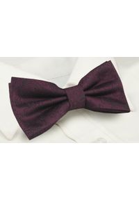 Mucha Męska z Poszetką - Alties - Kolor Wina (Burgund). Kolor: czerwony. Styl: sportowy, elegancki #3
