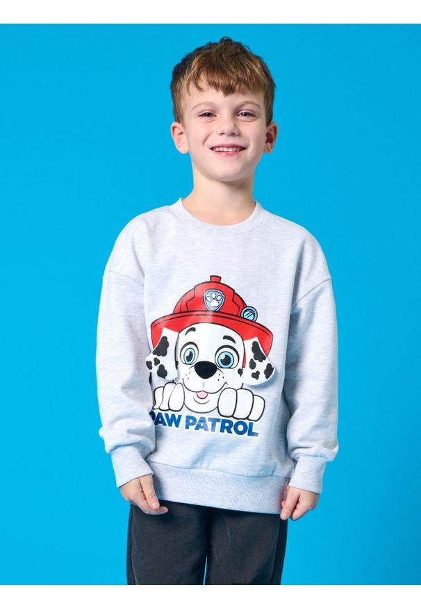 Sinsay - Bluza Paw Patrol - szary. Kolor: szary