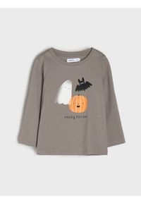 Sinsay - Koszulka z długimi rękawami z motywem Halloween - szary. Kolor: szary. Długość rękawa: długi rękaw. Długość: długie #1