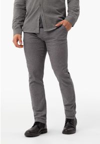 Volcano - Bawełniane spodnie R-OLAF. Okazja: na co dzień, na spotkanie biznesowe. Kolor: szary. Materiał: bawełna. Styl: wizytowy, biznesowy, klasyczny, casual #1