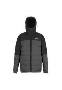 Regatta - Męska Ocieplana Kurtka Aldthorn. Kolor: wielokolorowy, szary, fioletowy, czarny. Materiał: puch. Sport: turystyka piesza #1