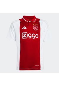 Adidas - Koszulka piłkarska dla dzieci ADIDAS Ajax domowa sezon 24/25. Wzór: paski. Sezon: lato. Sport: piłka nożna #1