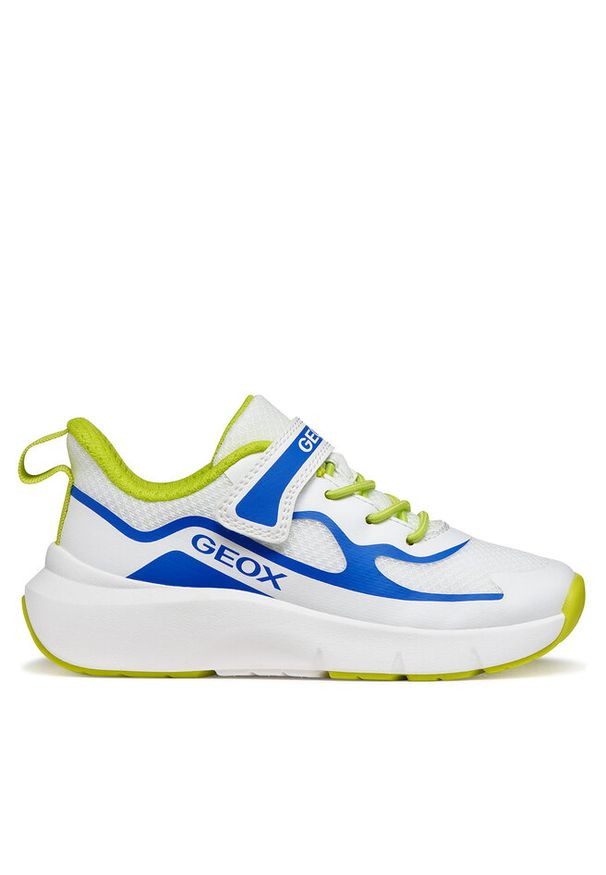 Sneakersy Geox. Kolor: biały