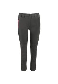 ZSPORT - Damskie Spodnie Softshell Miura - Styl i Wygoda. Kolor: szary. Materiał: softshell. Sport: turystyka piesza
