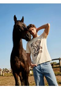 Big-Star - Koszulka męska z linii Authentic z nadrukiem perłowa Patter 103. Okazja: na co dzień. Kolor: kremowy. Materiał: dzianina, materiał, jeans. Wzór: nadruk. Styl: casual, klasyczny #5