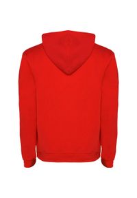 ROLY - Bluza Z Kapturem Dla Dzieci/dzieci Urban Drawstring Hoodie. Typ kołnierza: kaptur. Kolor: zielony, czerwony, wielokolorowy, brązowy
