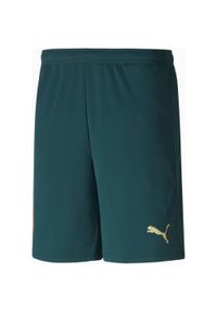 Puma Italia Spodenki Piłkarskie Zielone - Oddychające i Wygodne. Kolor: zielony. Materiał: poliester. Sport: piłka nożna