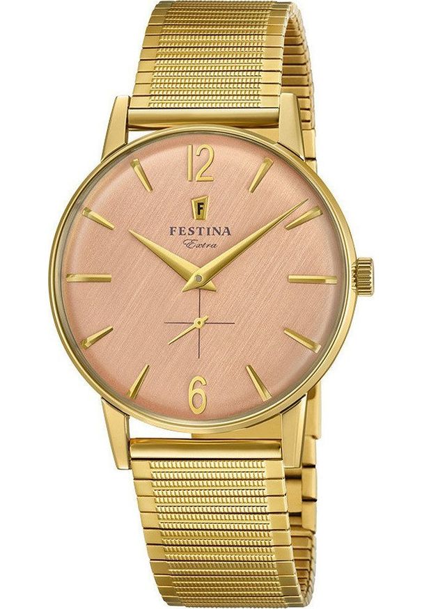 Zegarek Festina Zegarek męski Festina F20251-3 złoty. Kolor: złoty