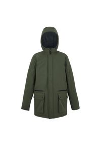 Regatta - Męska Ocieplana Kurtka Rodo. Kolor: zielony. Materiał: puch. Sport: turystyka piesza #1