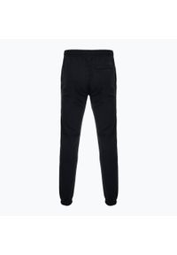 Spodnie męskie Nike Swoosh Fleece Jogger. Kolor: czarny. Sport: fitness