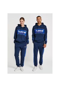 Bluza z kapturem Hummel Legacy Julian. Typ kołnierza: kaptur. Kolor: niebieski, wielokolorowy, zielony. Materiał: bawełna, materiał. Sport: fitness #1