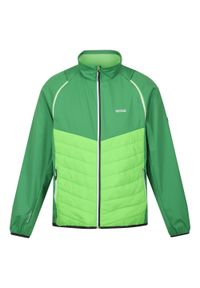 Regatta - Męska kurtka turystyczna hybrydowa ocieplana Steren. Kolor: zielony