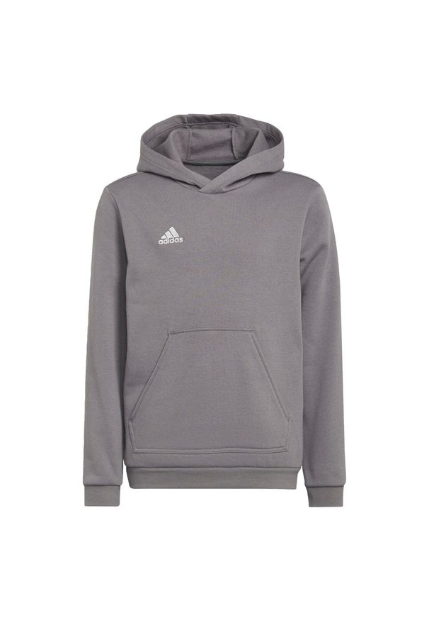 Adidas - Bluza piłkarska dla dzieci adidas Entrada 22 Hoody. Typ kołnierza: kaptur. Kolor: szary. Materiał: materiał, polar. Sport: piłka nożna