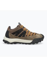 Scarpa - Buty turystyczne męskie SCARPA Rove GTX. Kolor: brązowy. Sport: turystyka piesza
