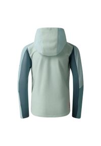 DARE 2B - Kurtka Dziecięca Thriving IV Fleece Jacket. Kolor: niebieski, zielony, wielokolorowy. Sezon: zima. Sport: narciarstwo