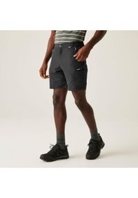 Regatta - Spodenki trekkingowe męskie Leesville. Kolor: szary. Materiał: poliamid, tkanina. Sport: turystyka piesza #1