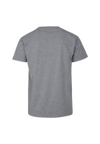 BUILD YOUR BRAND - Koszulka Dla Dorosłych Unisex Basic Heather. Kolor: szary
